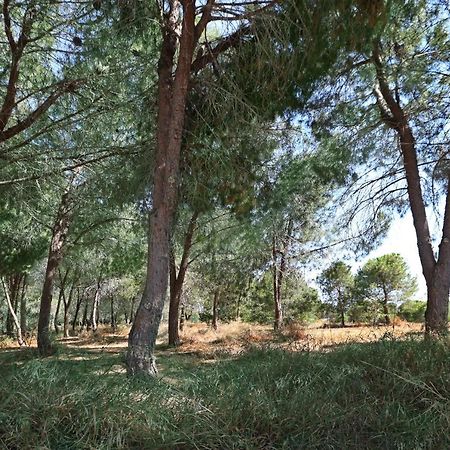 Cozy Holiday Apartment In Larnaca Near Foinikoudes エクステリア 写真