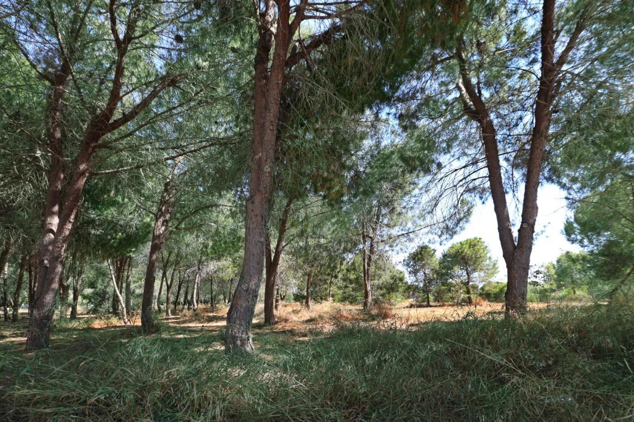 Cozy Holiday Apartment In Larnaca Near Foinikoudes エクステリア 写真
